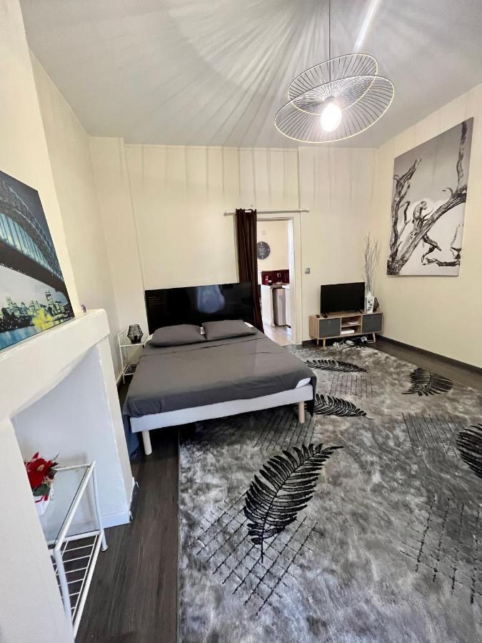 Superbe Appartement, Proche Gare, Jardin/Terrasse - Dabnb リモージュ エクステリア 写真